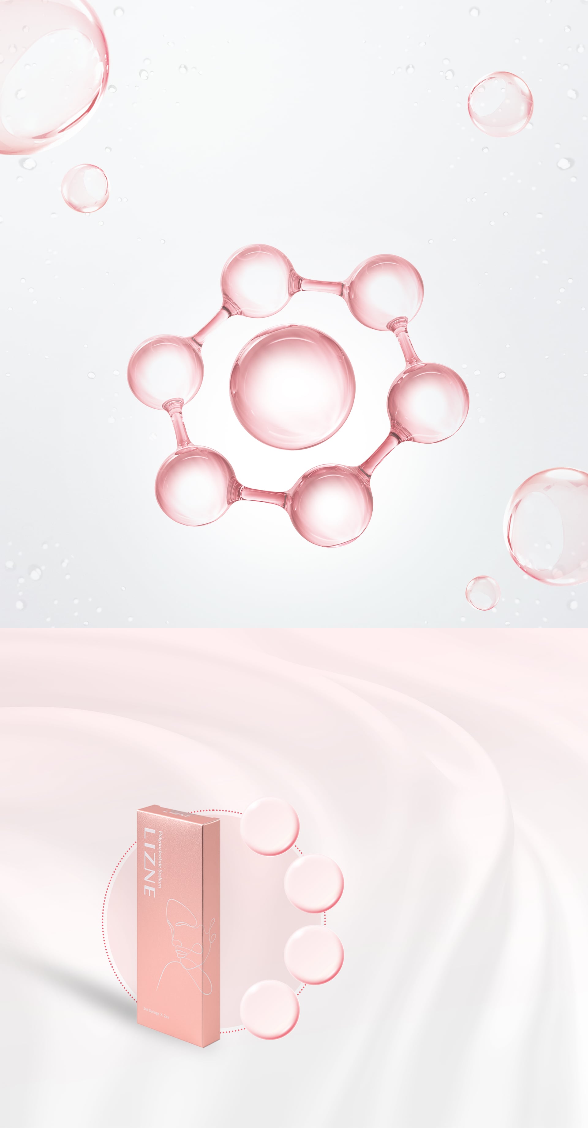 Lizne核心成分介绍