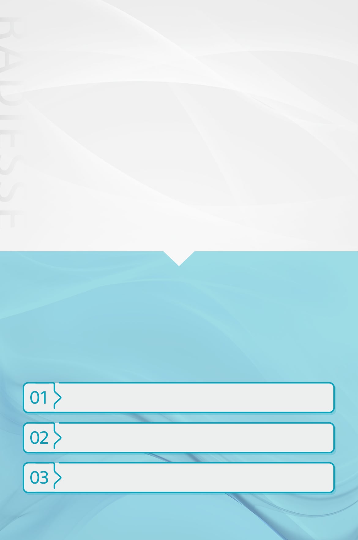 Radiesse是什么？