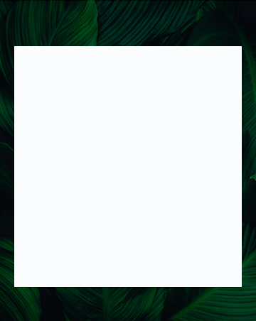 不含化学成分的100%